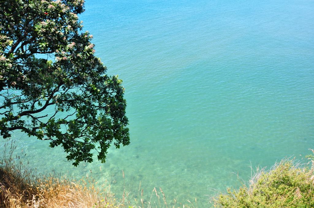 The drive into Auckland, New Zealand.