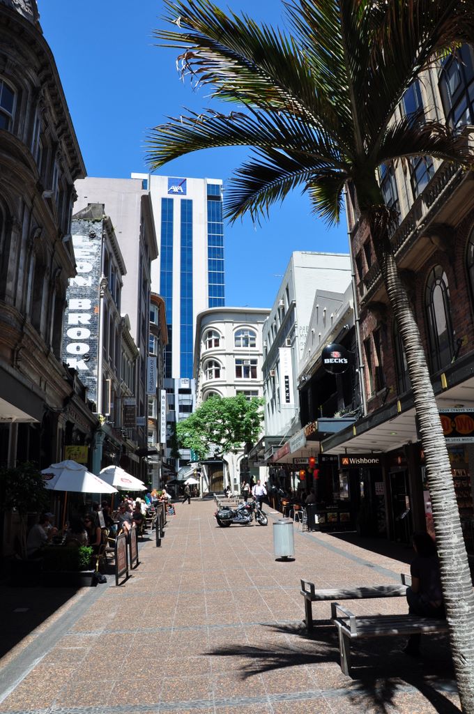 The drive into Auckland, New Zealand.