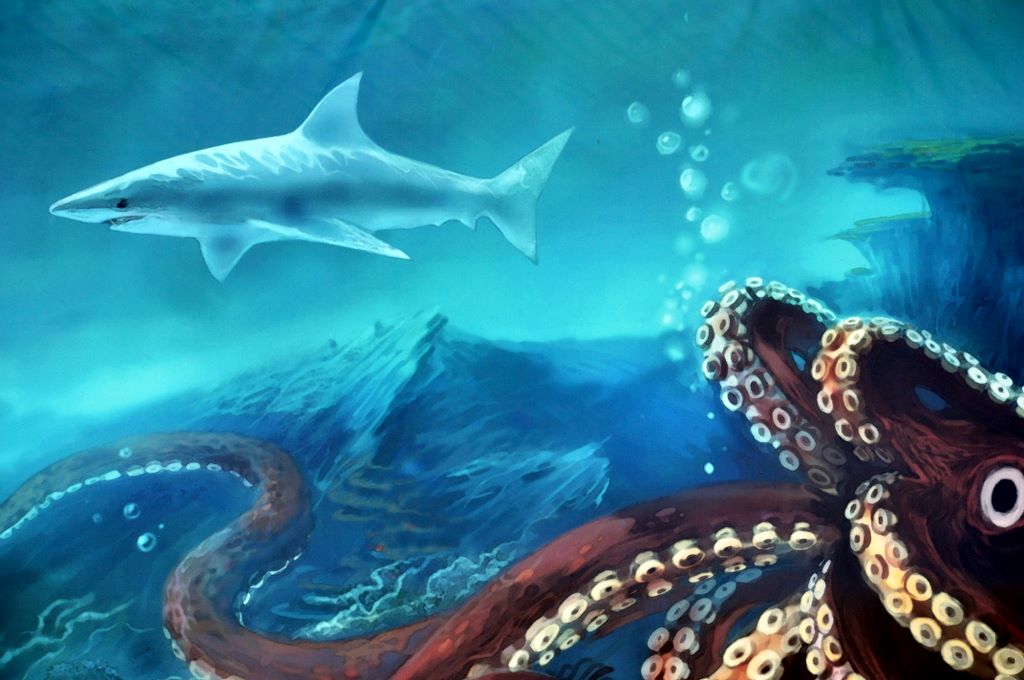 Kelly Tarlton's Antarctic Encounter & Underwater World