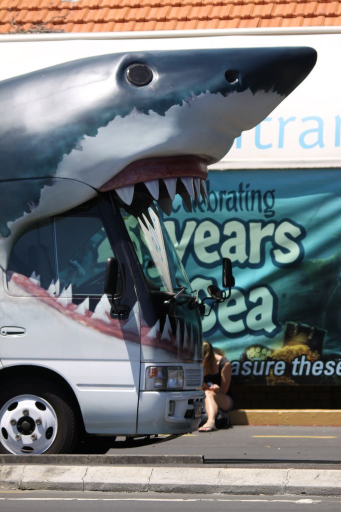 Kelly Tarlton's Antarctic Encounter & Underwater World