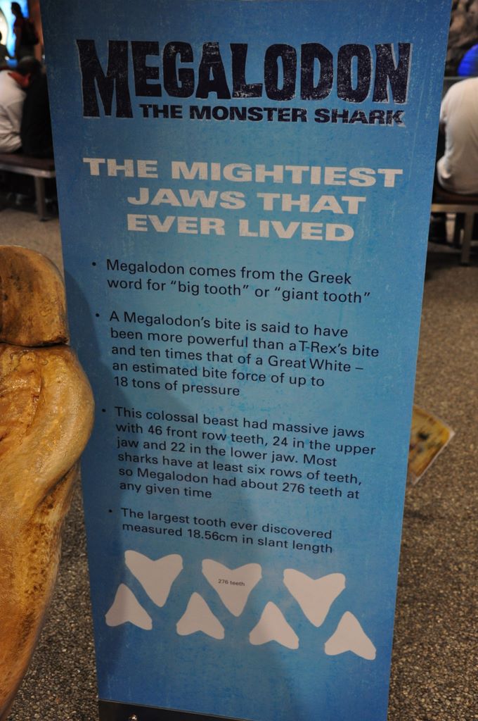 Kelly Tarlton's Antarctic Encounter & Underwater World