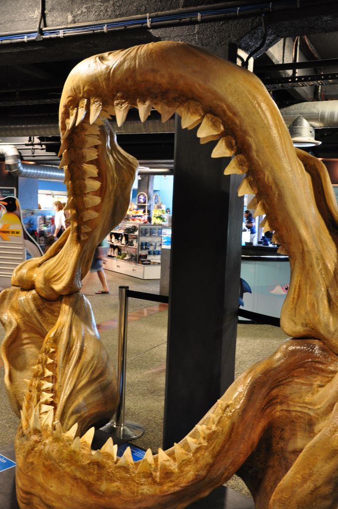 Kelly Tarlton's Antarctic Encounter & Underwater World