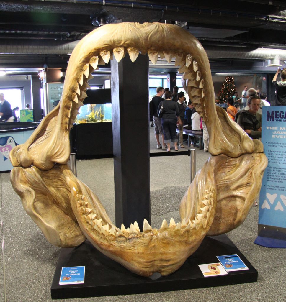 Kelly Tarlton's Antarctic Encounter & Underwater World