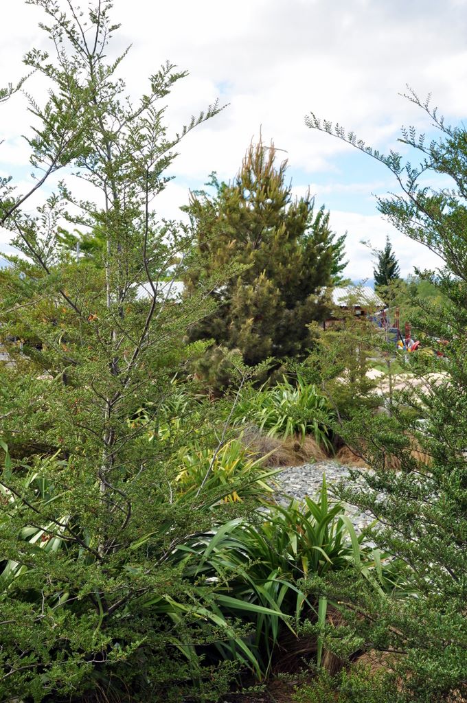 Twizel, New Zealand.