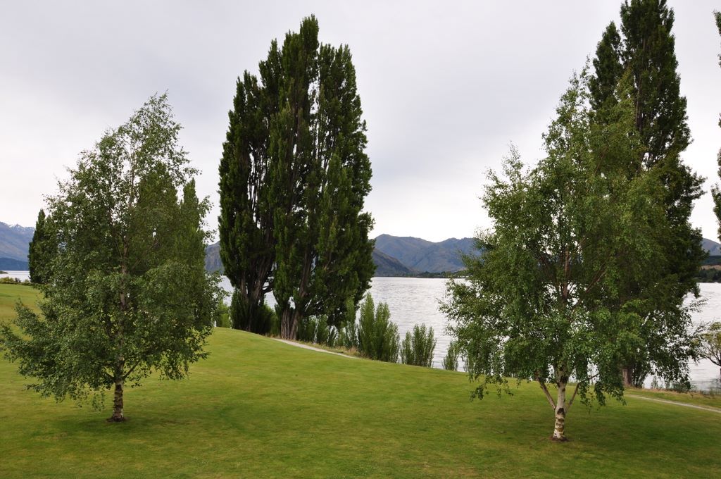 Wanaka, New Zealand.