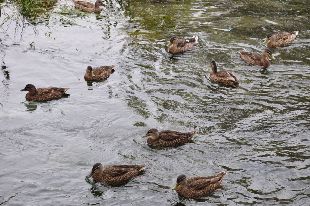 Wanaka, New Zealand.