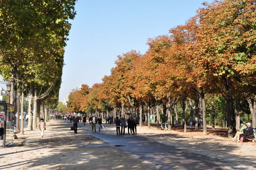 &nbsp;Avenue des Champs Elysees, Paris