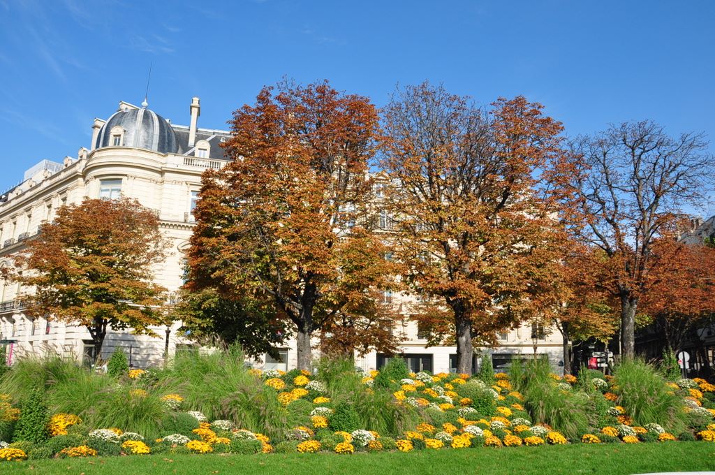 &nbsp;Avenue des Champs Elysees, Paris