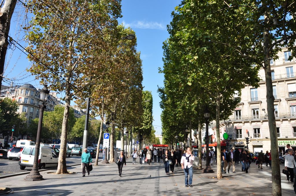&nbsp;Avenue des Champs Elysees, Paris