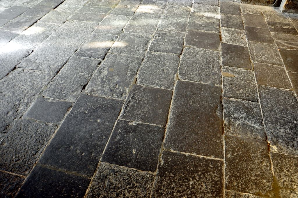 The Roman Catholic church of Saint-Séverin is located on the Rue Saint-Séverin, in Paris. 