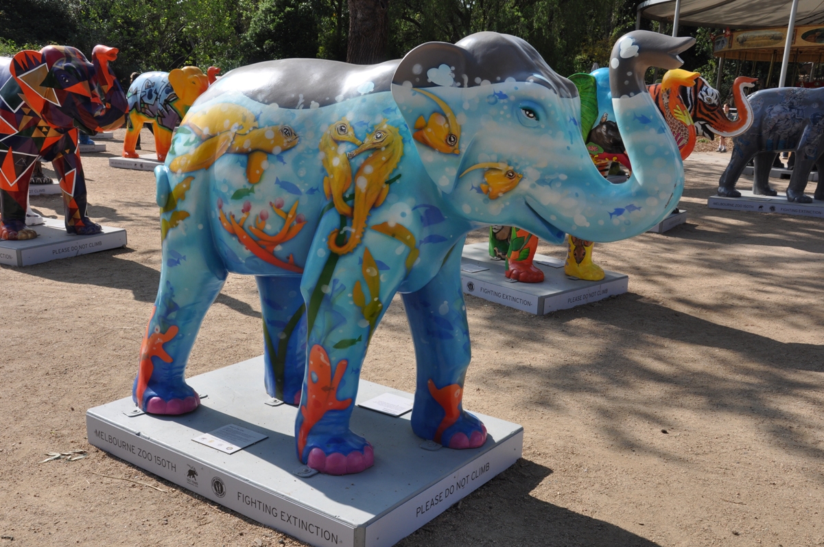 Pond Dreaming - Mali by David Higgins - Picture of the day were taken at Melbourne Zoo, Melbourne, Victoria, Australia.