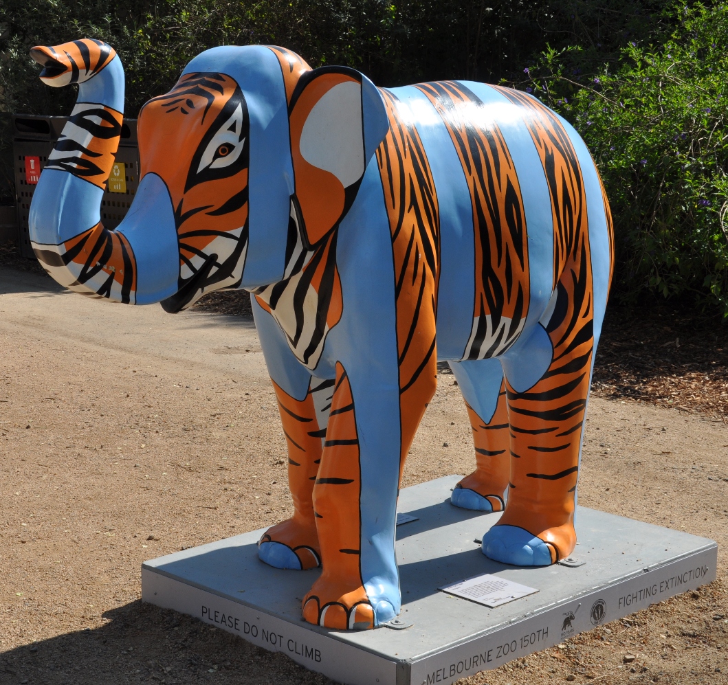 Stripes - Mali by Keri Le Page - Picture of the day were taken at Melbourne Zoo, Melbourne, Victoria, Australia.