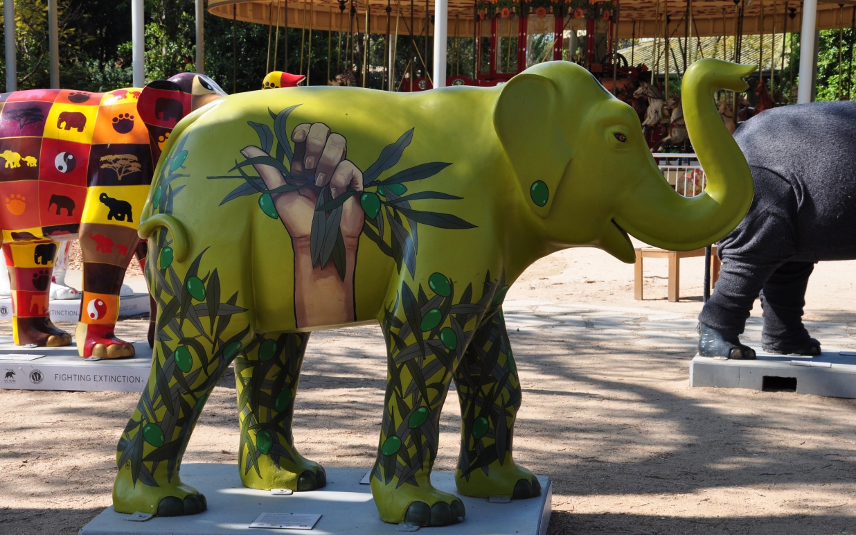 Botani - Mali by Michael Skilney - Picture of the day were taken at Melbourne Zoo, Melbourne, Victoria, Australia.
