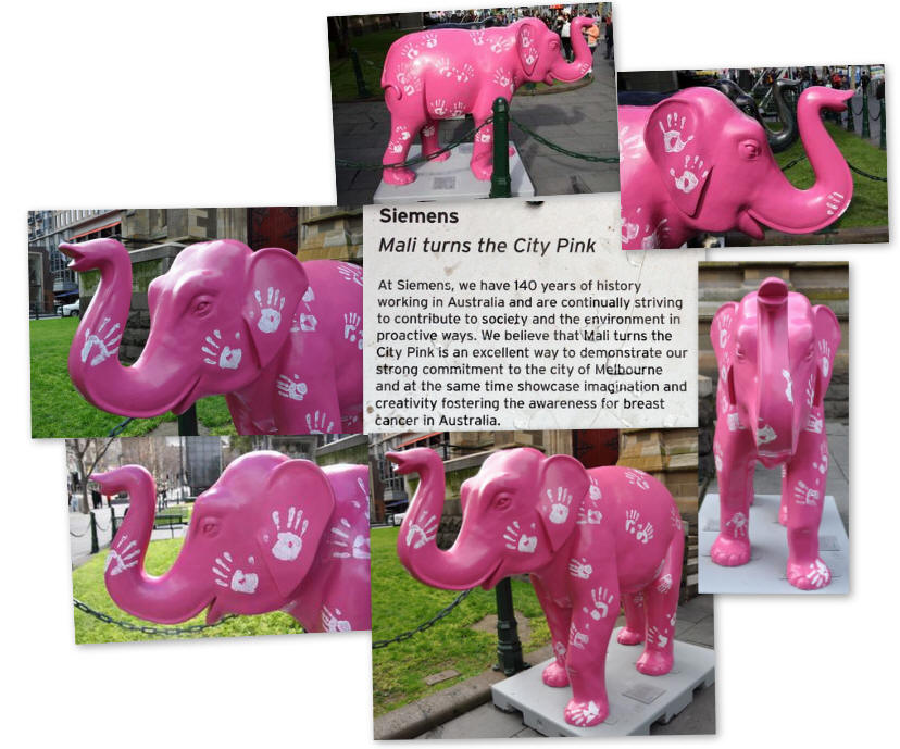 Mali turns the City Pink by the staff at Siemens - Picture of the day taken outside St.Paul's Cathedral, Melbourne, Victoria, Australia.