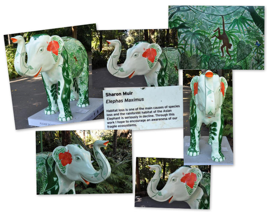 Elephas Maximus by Sharon Muir - Picture of the day were taken in the Royal Botanic Gardens, Melbourne, Victoria, Australia.