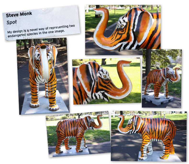 Spot - Mali by Steve Monk - Picture of the day were taken in Treasury Gardens, Melbourne, Victoria, Australia.
