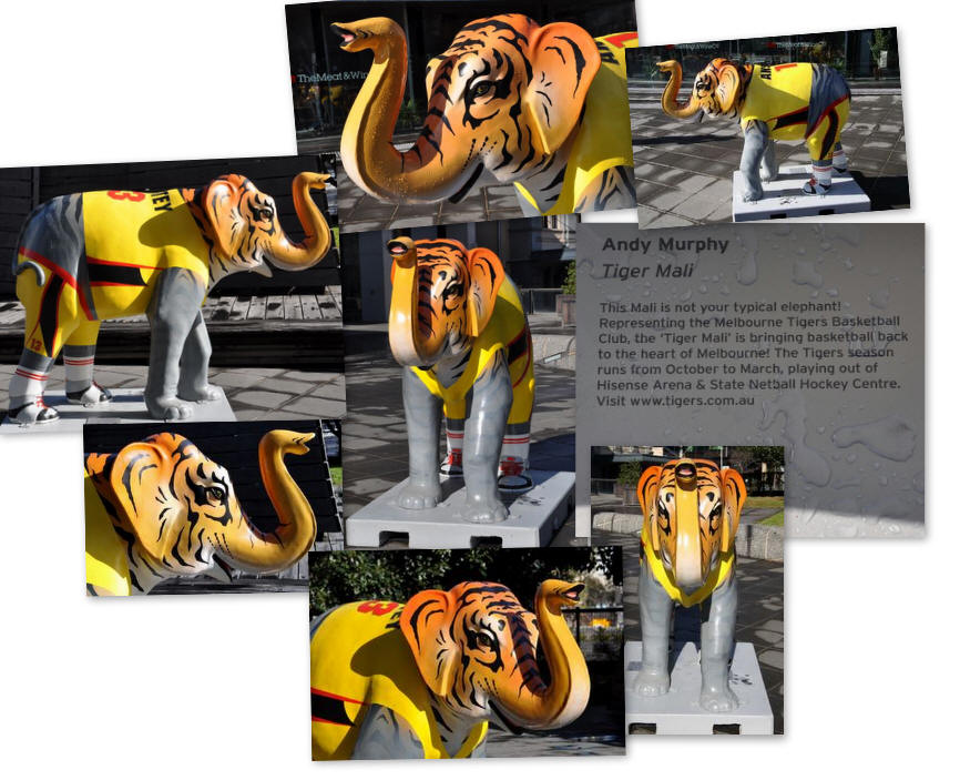 Tiger Mali by Andy Murphy picture taken at Freshwater Place, Melbourne, Victoria, Australia.