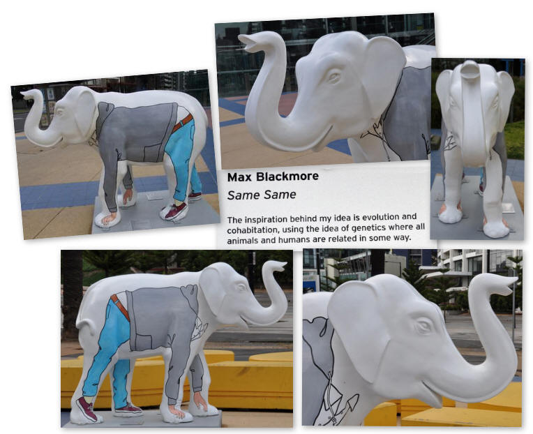 Same Same - Mali by Max Blackmore - Picture of the day were taken in Docklands, Melbourne, Victoria, Australia.
