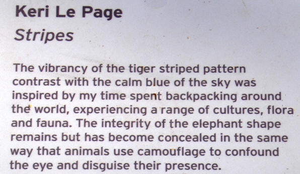 Stripes - Mali by Keri Le Page - Picture of the day were taken at Melbourne Zoo, Melbourne, Victoria, Australia.