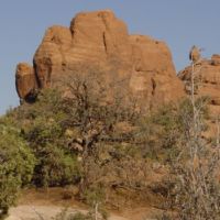 Arches National Park, Utah, USA.