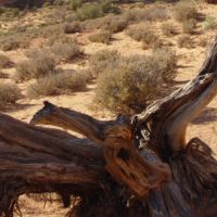 Arches National Park, Utah, USA.