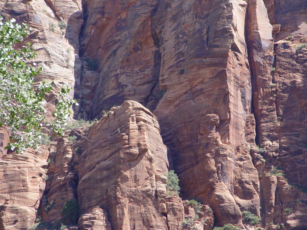 Zion National Park, Utah, USA.