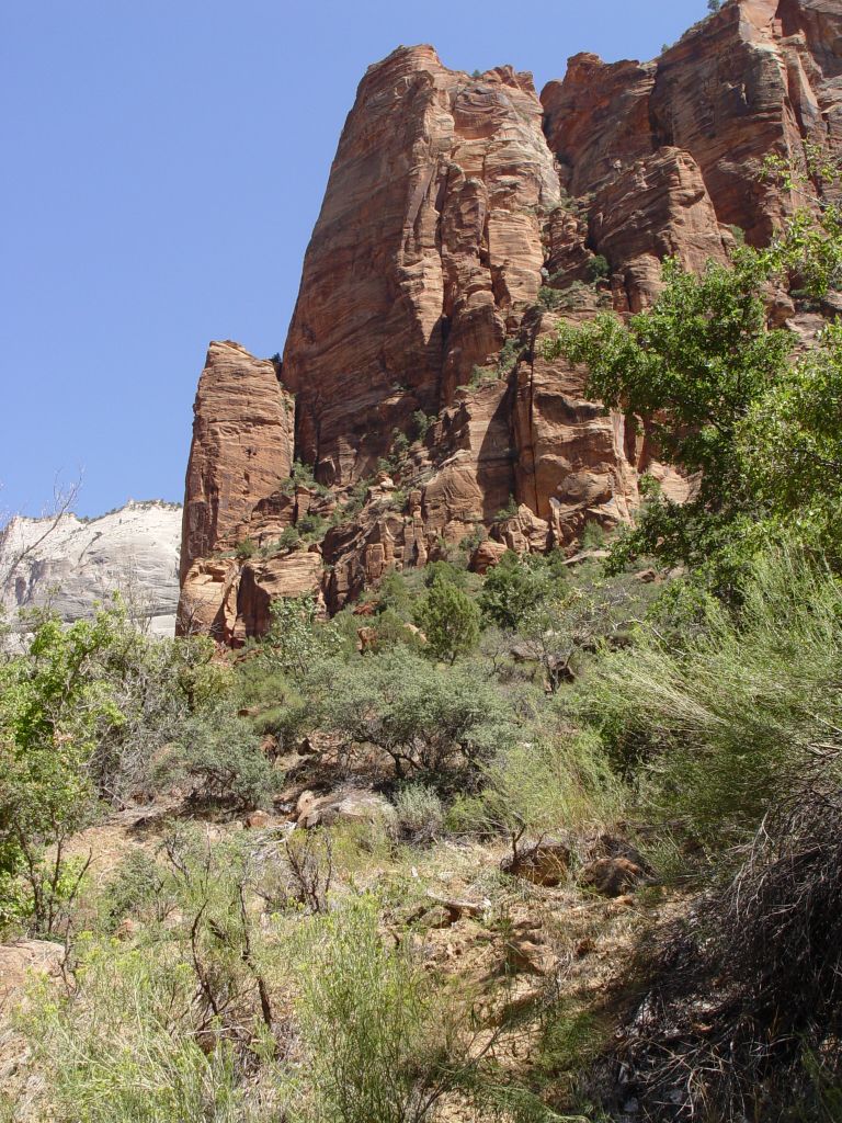Zion National Park, Utah, USA.