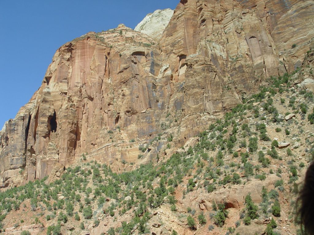 Zion National Park, Utah, USA.