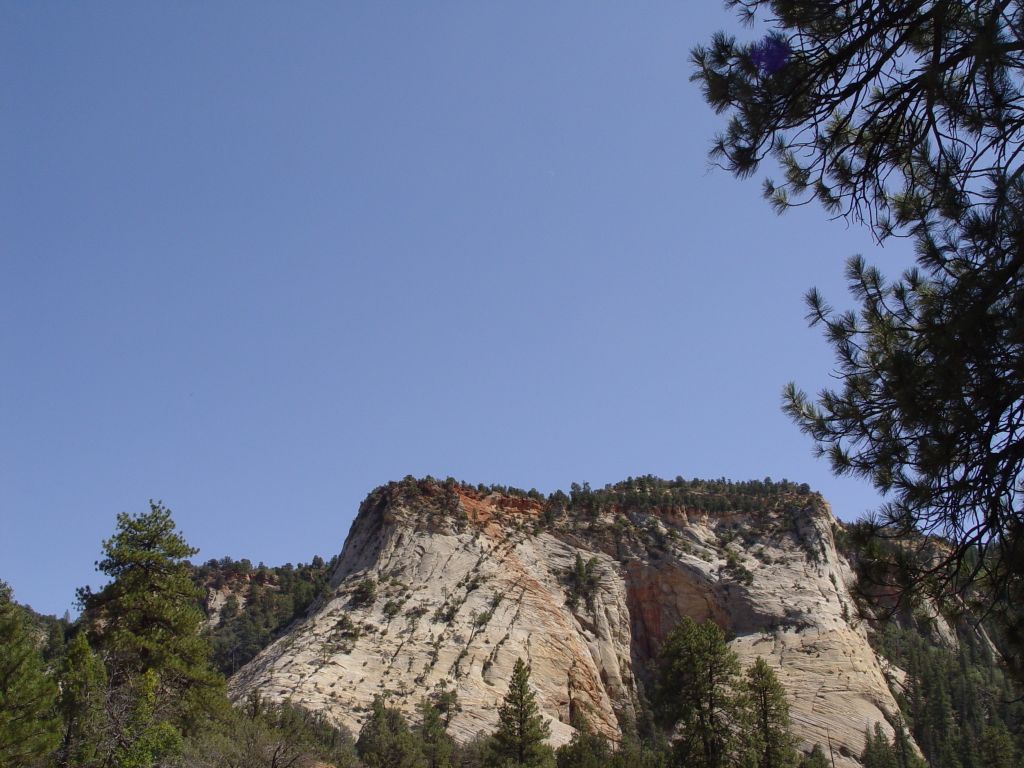 Zion National Park, Utah, USA.