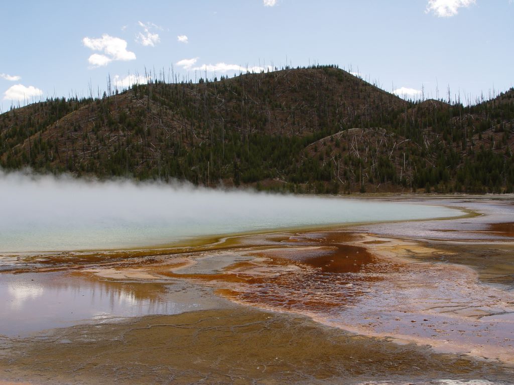 Yellowstone National Park, Wyoming, USA.