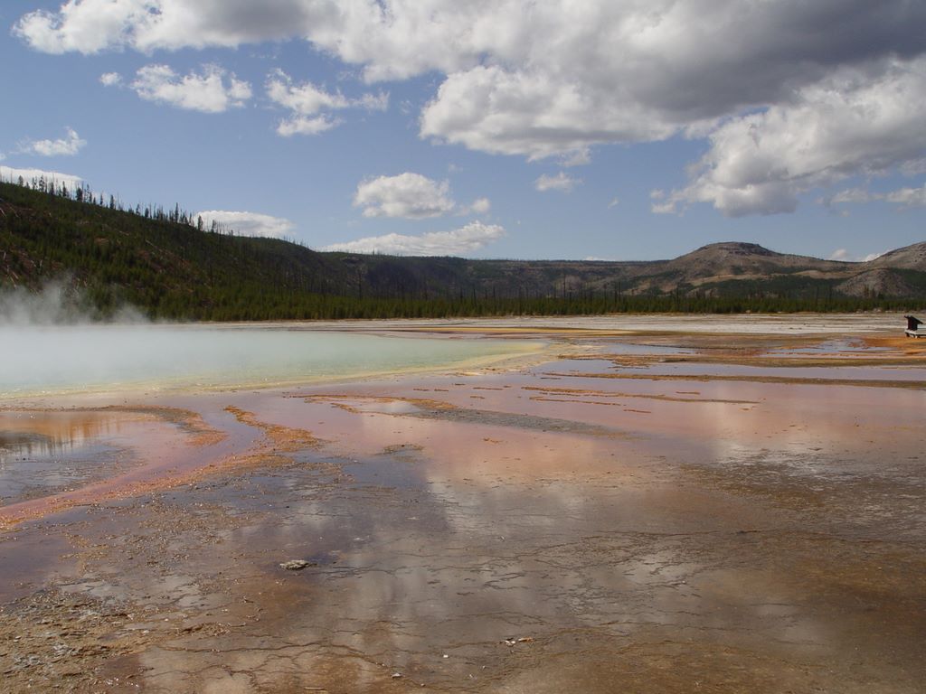 Yellowstone National Park, Wyoming, USA.