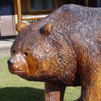 Yellowstone National Park, Wyoming, USA.